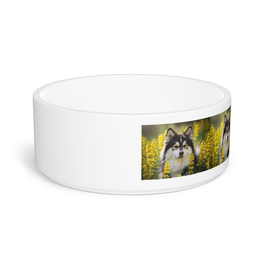 Ceramic Pet Bowl – 16 oz