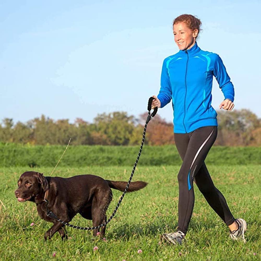Thick Highly Reflective Dog Leash