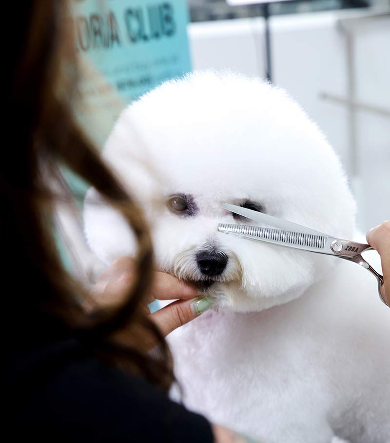 Pet Grooming Blender Shear