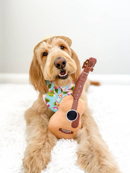 Guitar Dog Toy