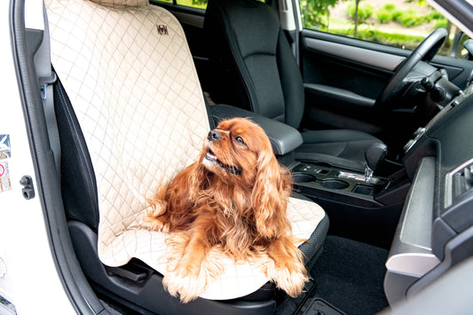 Vehicle Protectors for Travel