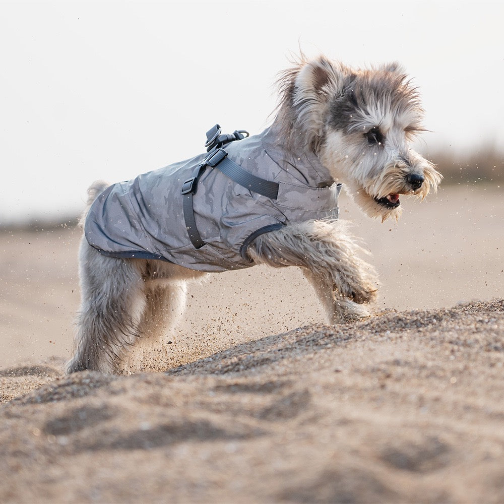 Dog Waterproof Reflective Jacket with Harness