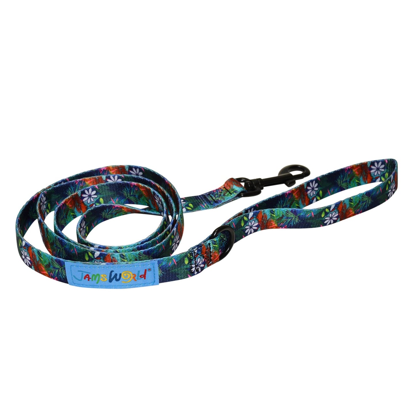 Pet Leash