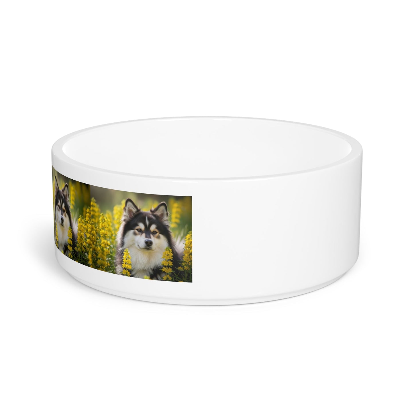 Ceramic Pet Bowl – 16 oz