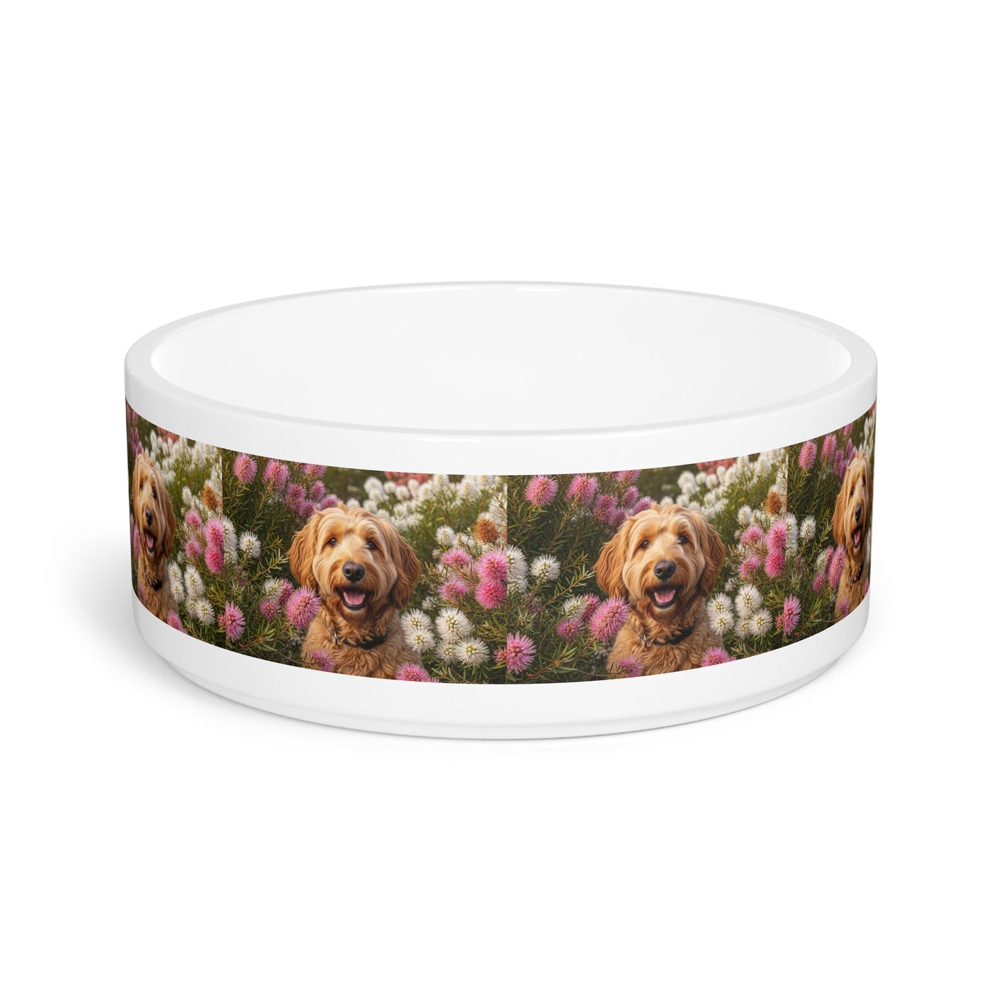Ceramic Pet Bowl - 16 oz