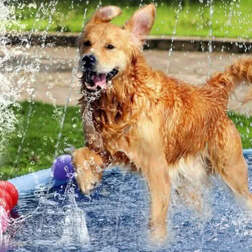Splash Play Mat Inflatable