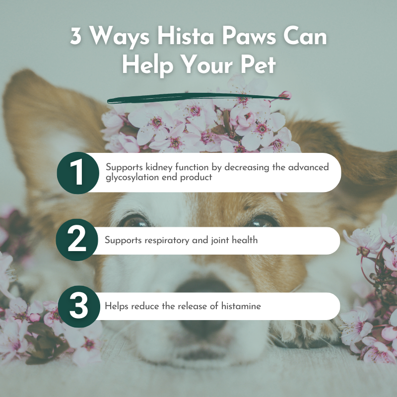 Hista Paws – with Quercetin