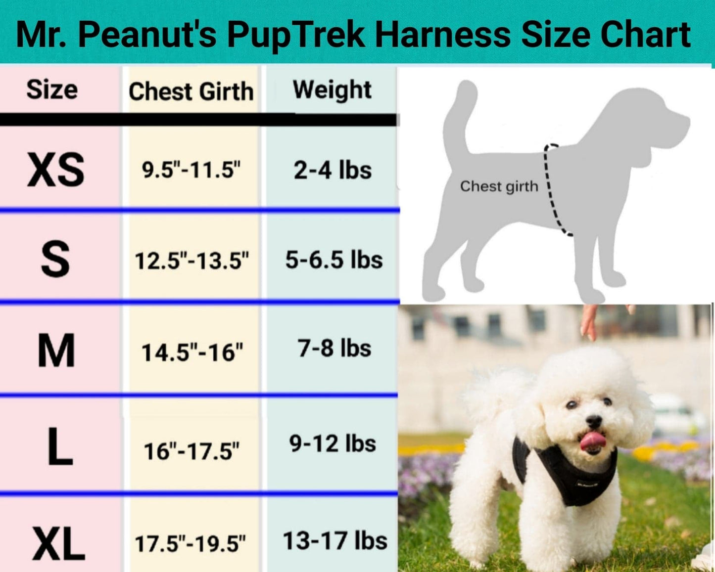Soft Mesh Pet Harness with Matching Leash