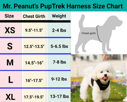 Soft Mesh Pet Harness with Matching Leash