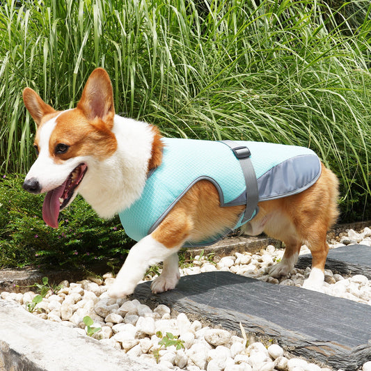 Pet Cooling Summer Vest