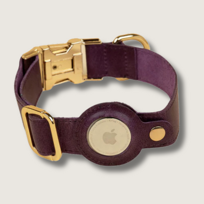 Leather AirTag Dog Collar