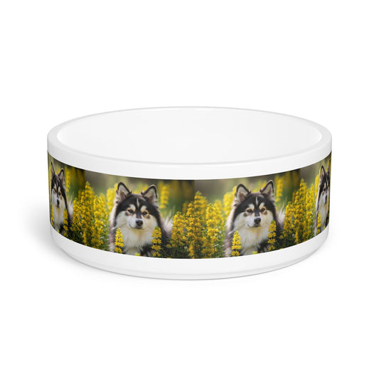 Ceramic Pet Bowl – 16 oz