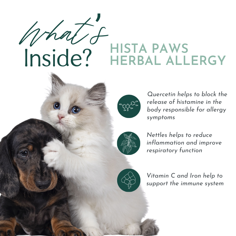 Hista Paws – with Quercetin