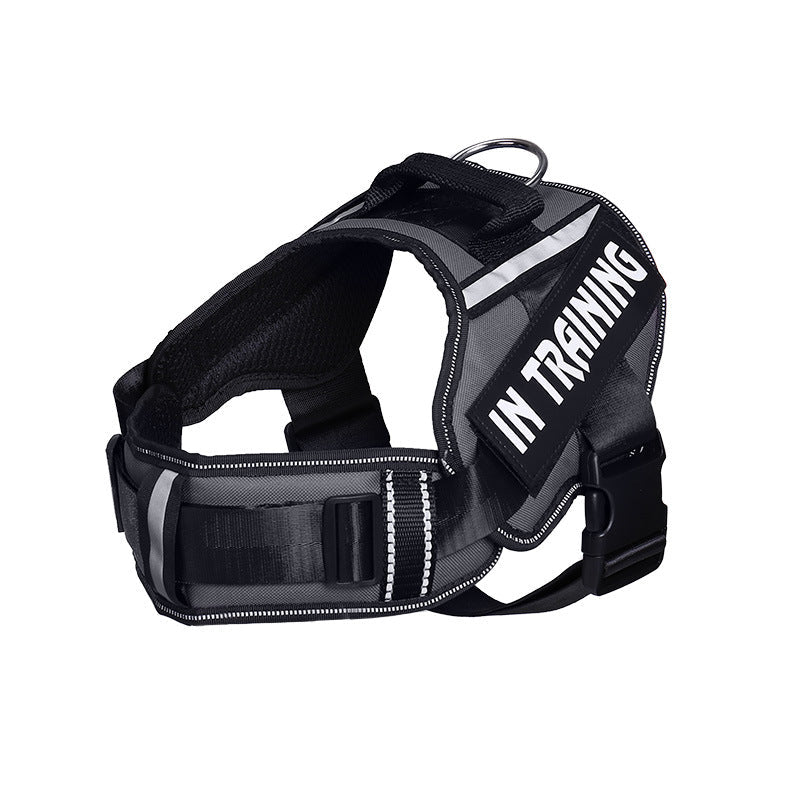 Reflective Dog Leash For Chest Harness