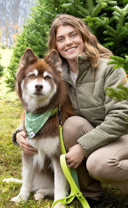 Waterproof Dog Collar