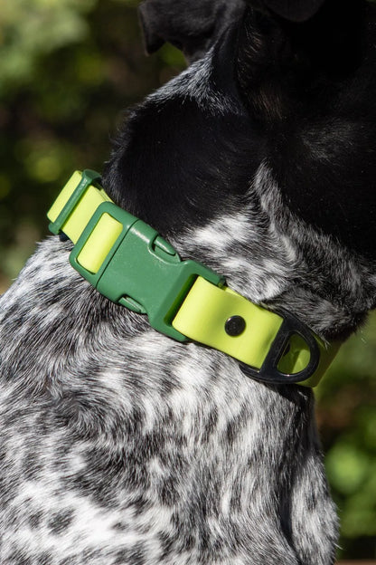 Waterproof Dog Collar