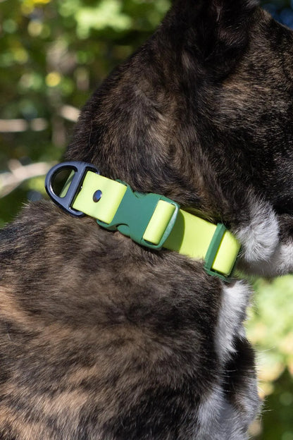 Waterproof Dog Collar