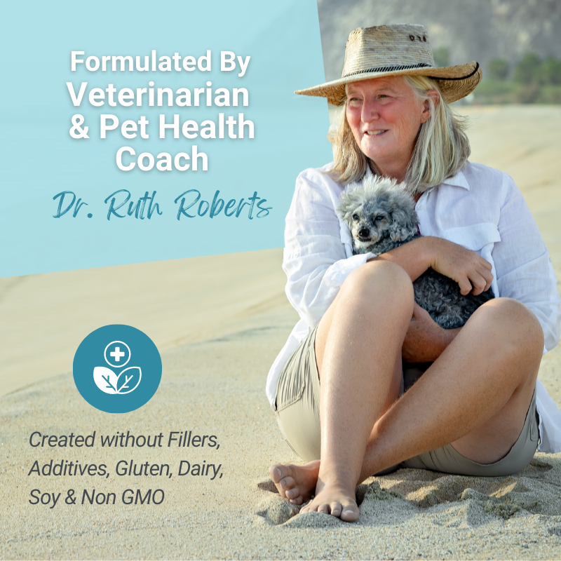 Hista Paws – with Quercetin