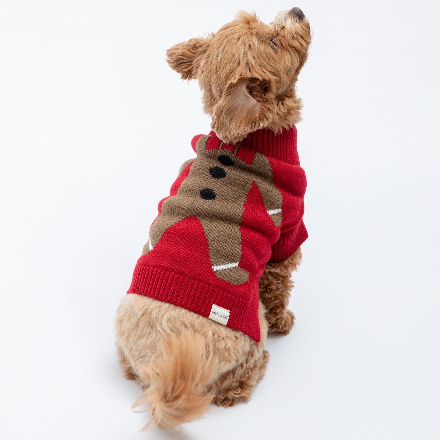 Christmas Pet Sweater