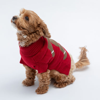 Christmas Pet Sweater