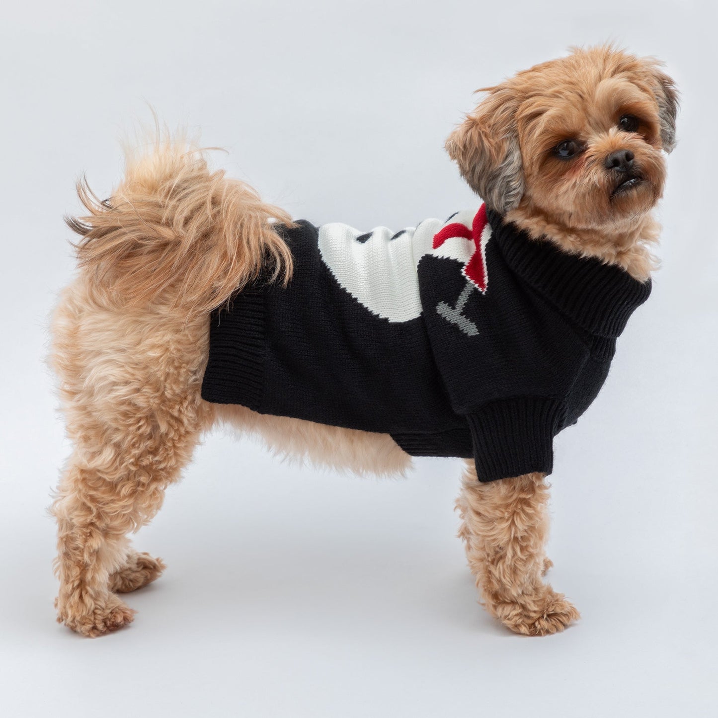 Christmas Pet Sweater