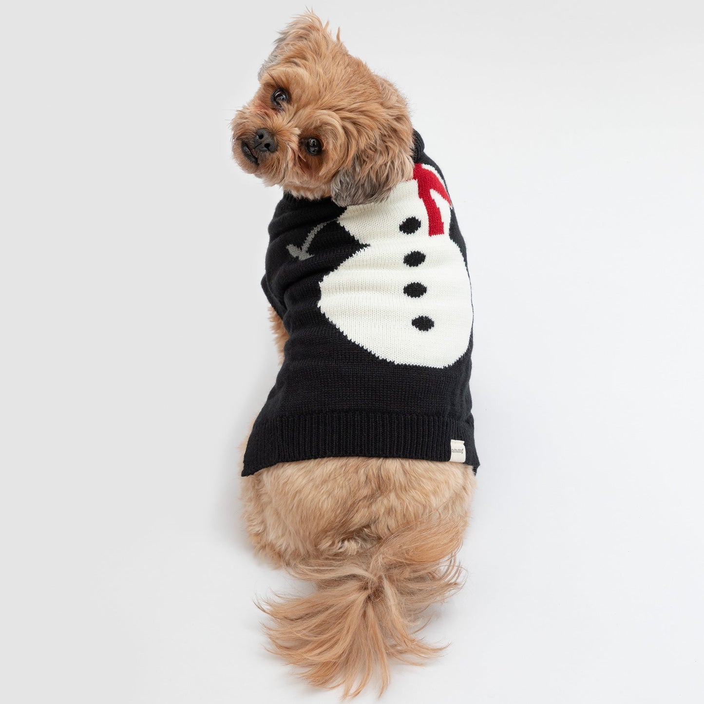 Christmas Pet Sweater