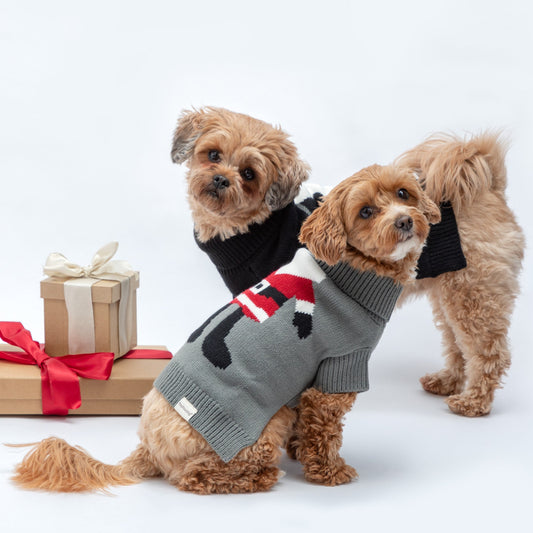 Christmas Pet Sweater