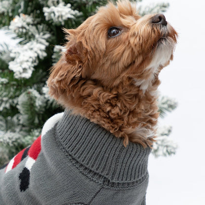 Christmas Pet Sweater