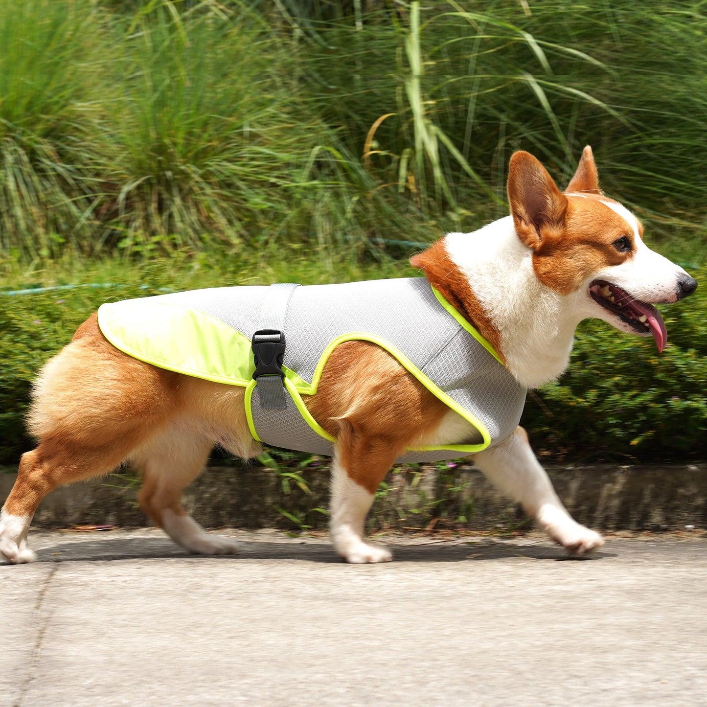 Pet Cooling Summer Vest