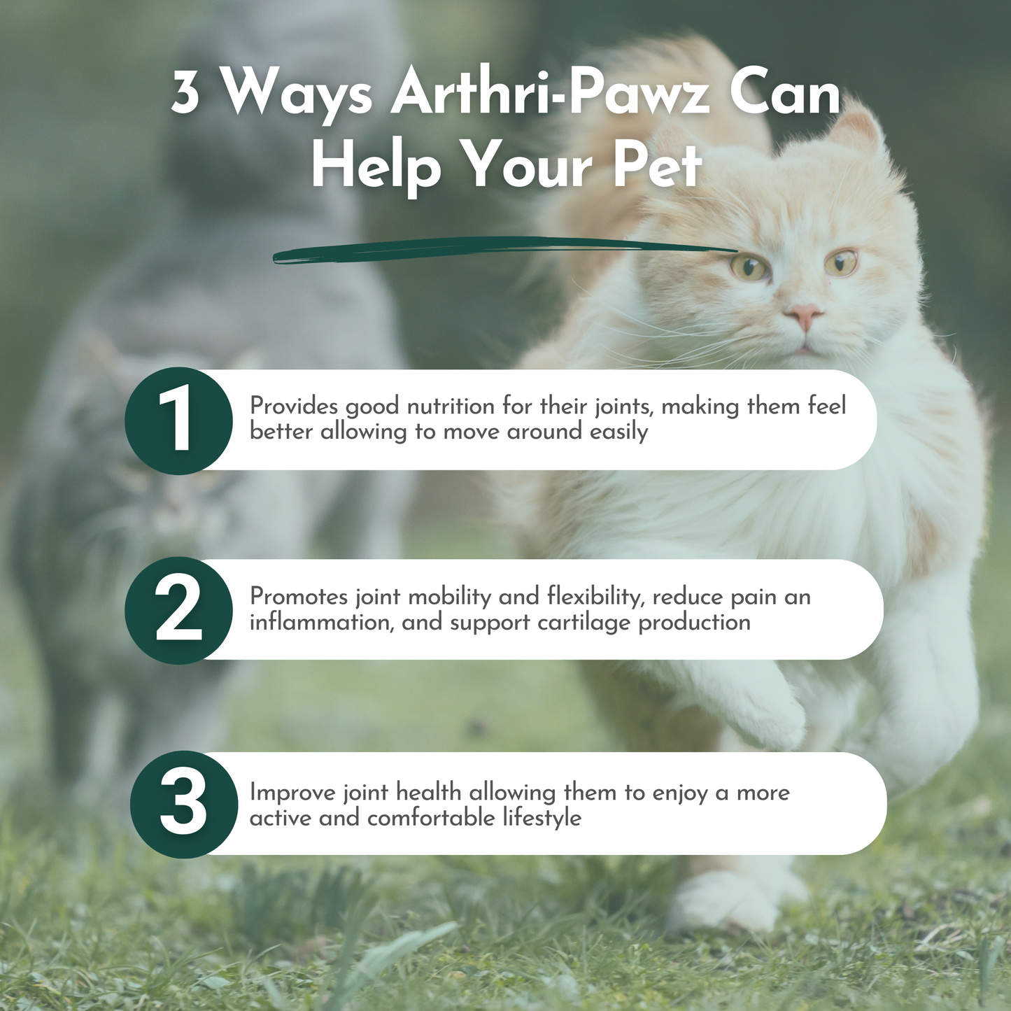 Arthri-Pawz – with Glucosamine