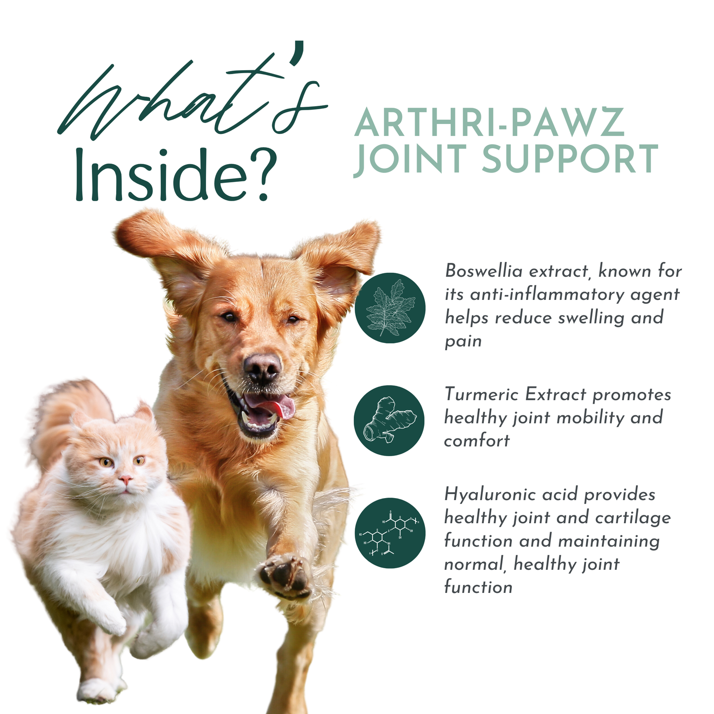 Arthri-Pawz – with Glucosamine