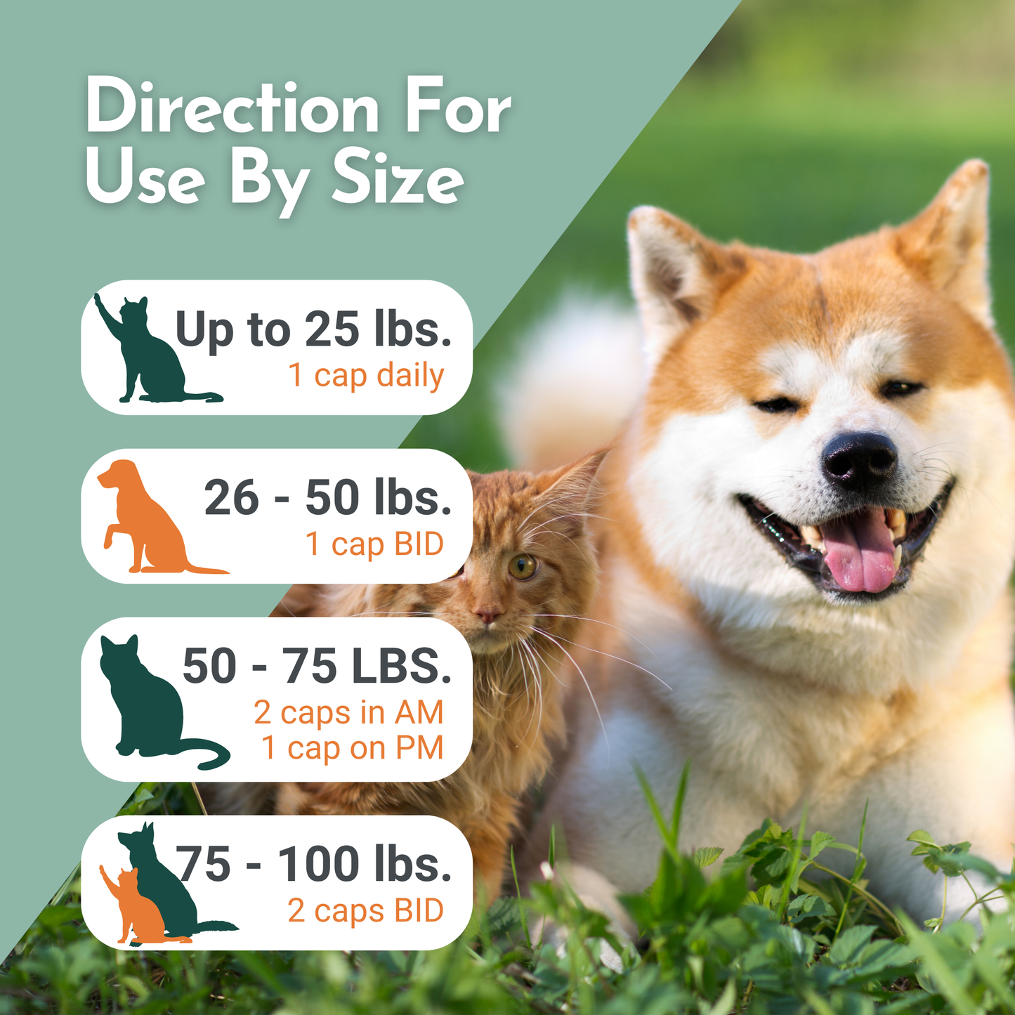 Arthri-Pawz – with Glucosamine
