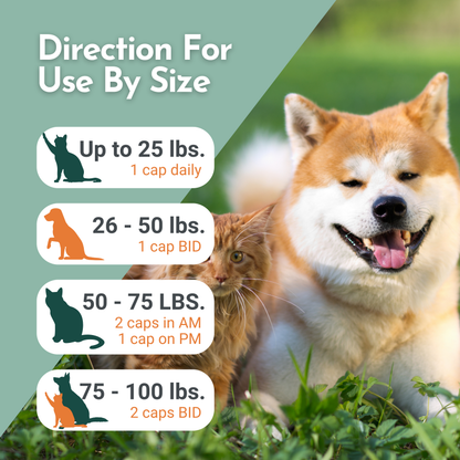 Arthri-Pawz – with Glucosamine