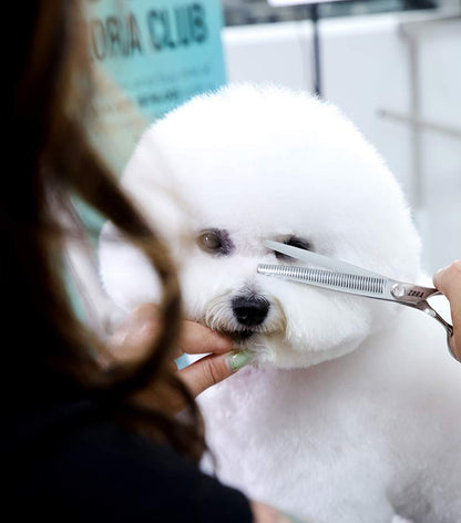 Pet Grooming Blender Shear