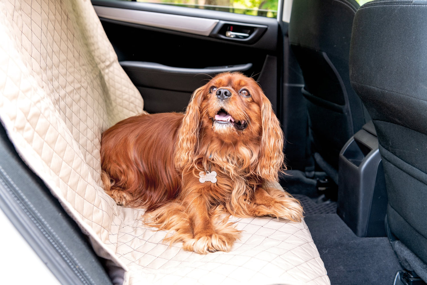 Vehicle Protectors for Travel