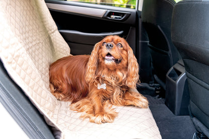 Vehicle Protectors for Travel