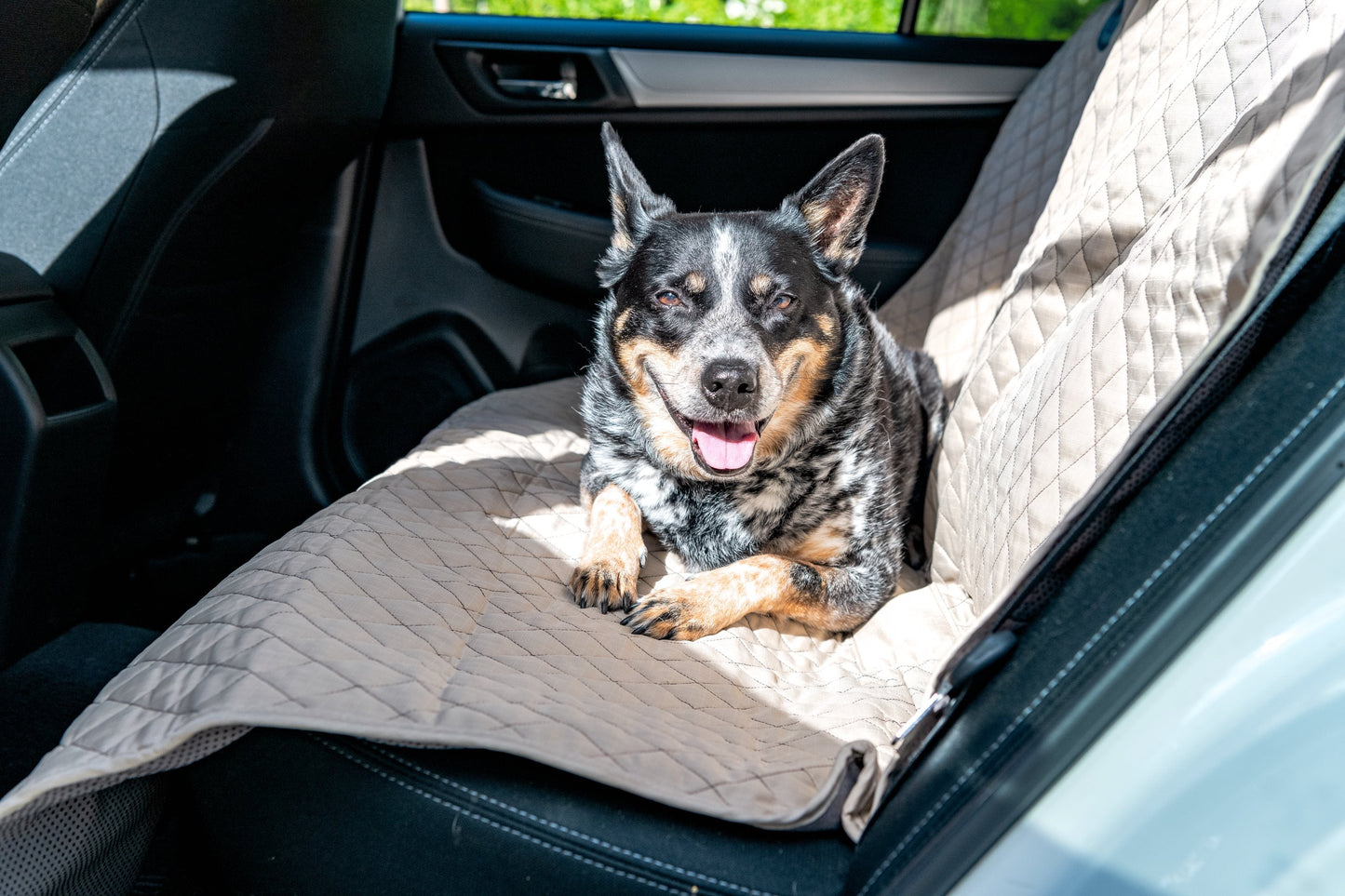 Vehicle Protectors for Travel