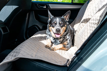 Vehicle Protectors for Travel