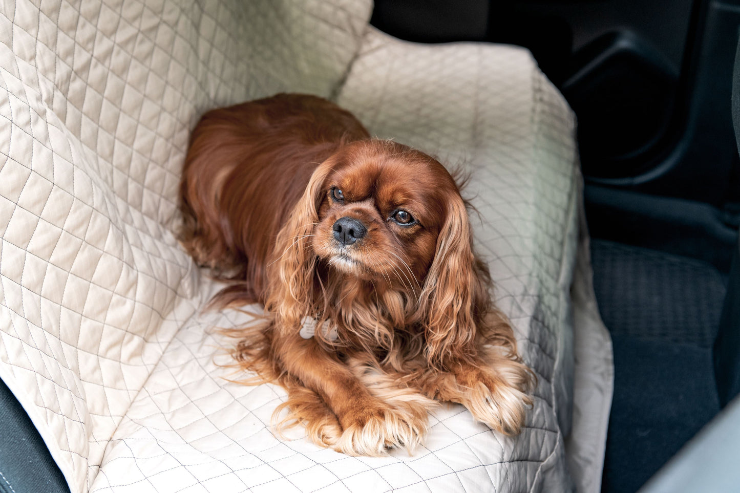 Vehicle Protectors for Travel