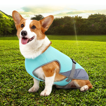 Pet Cooling Summer Vest