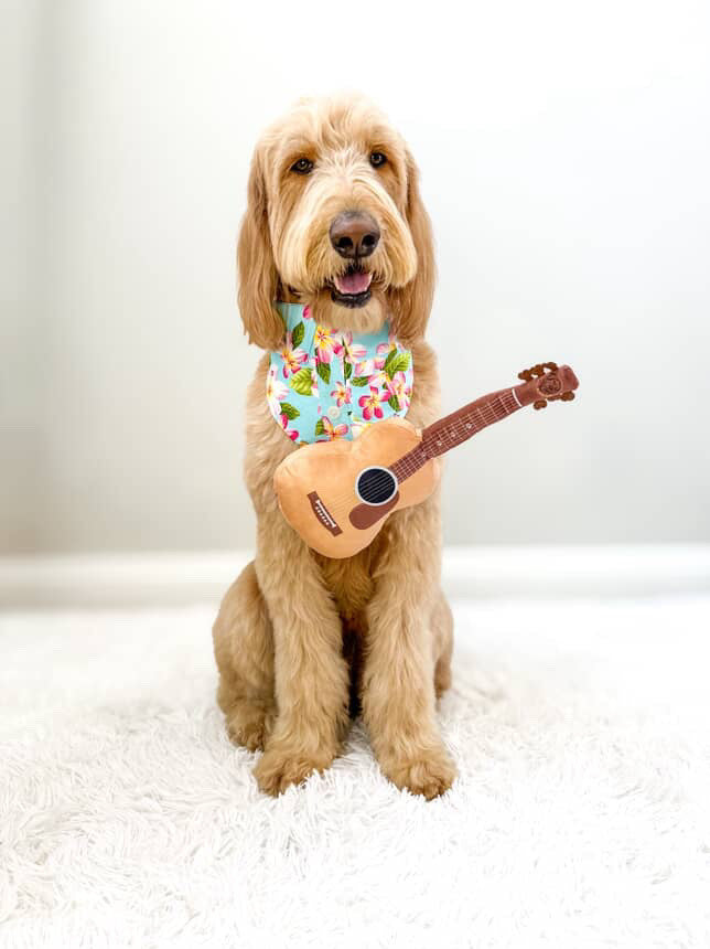 Guitar Dog Toy