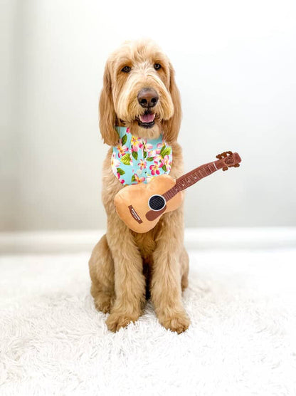 Guitar Dog Toy