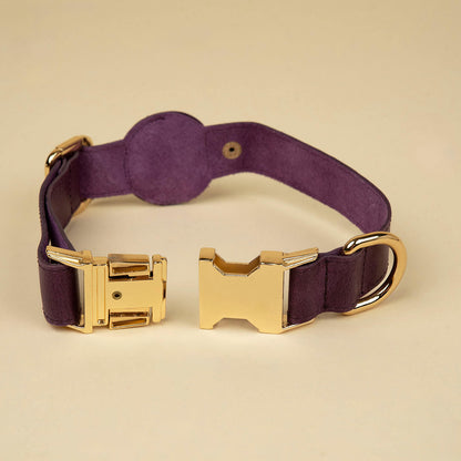 Leather AirTag Dog Collar