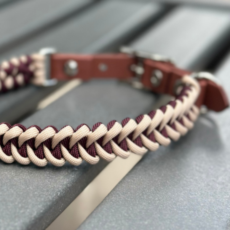 Hand Braided Dog Collar