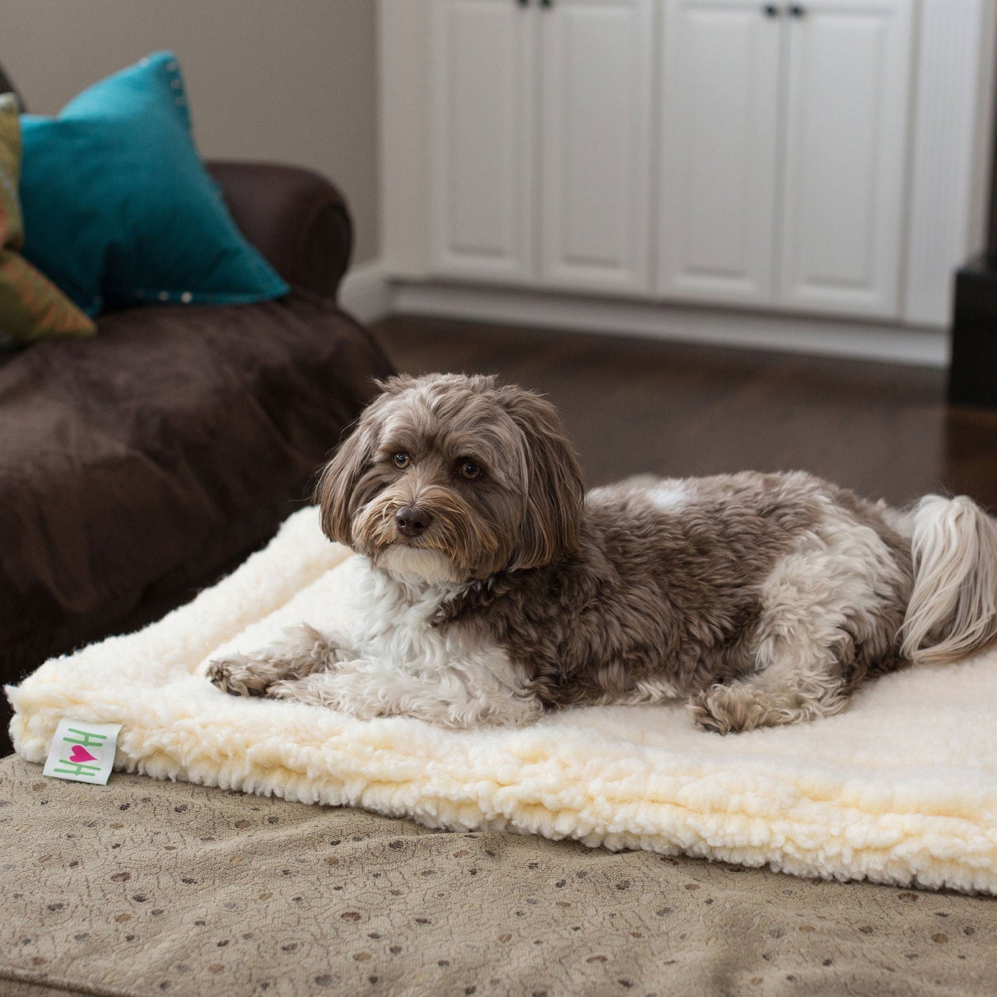 Cat & Dog Bed