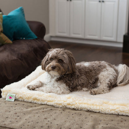 Cat & Dog Bed