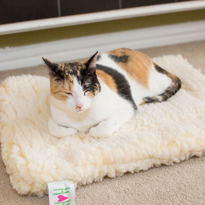 Cat & Dog Bed