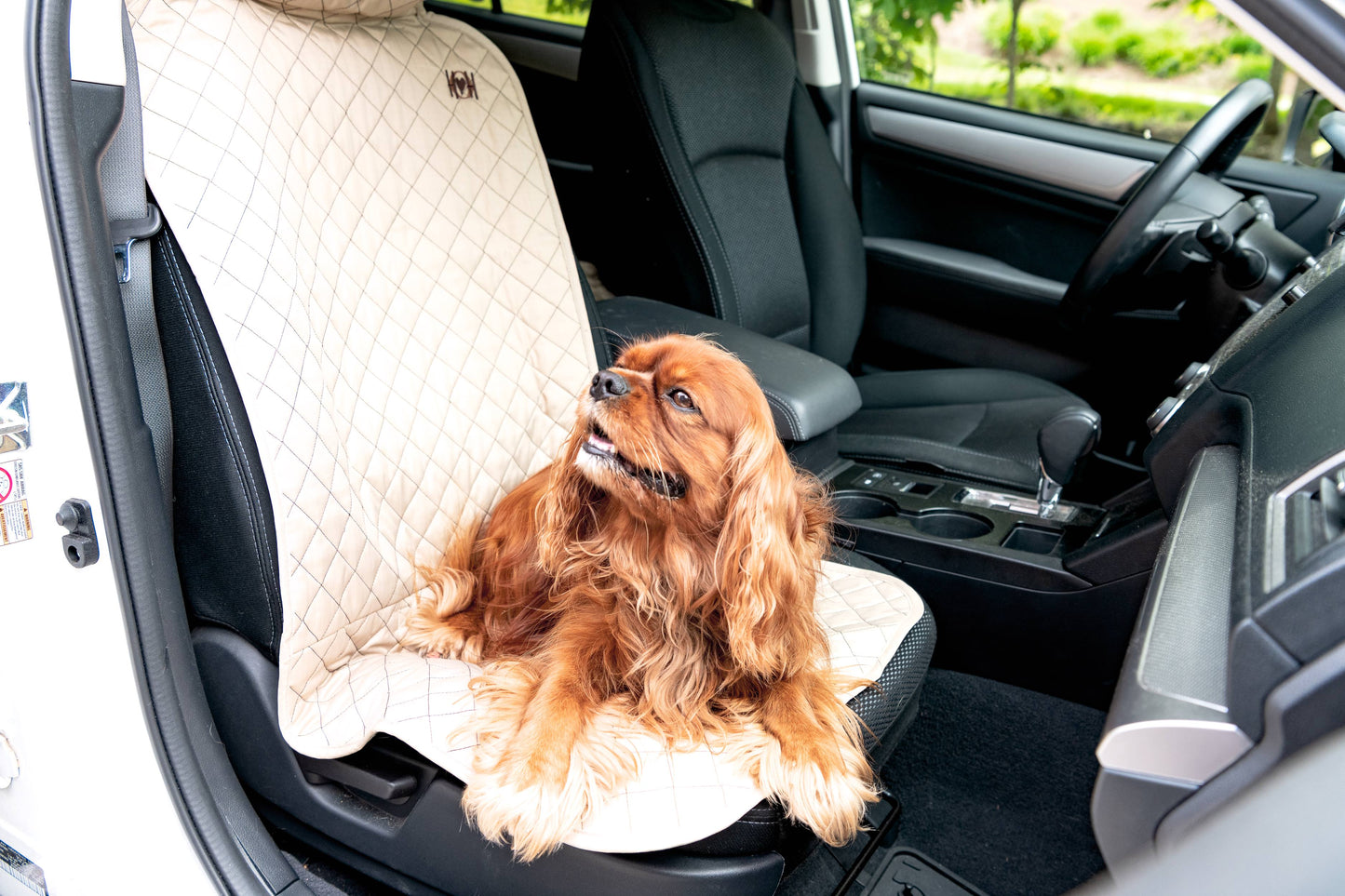 Vehicle Protectors for Travel