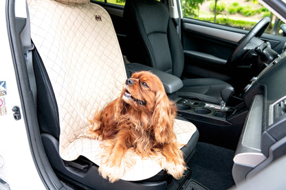 Vehicle Protectors for Travel