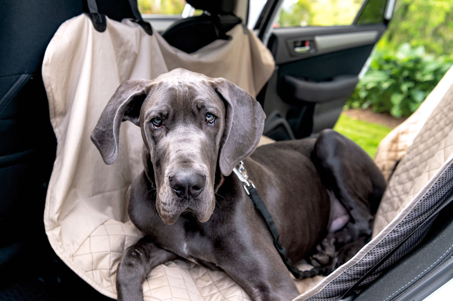 Vehicle Protectors for Travel